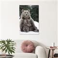 Picture of Snowy Bear _GroupedProduct_Rectangle_Portrait_Photography _GroupedProduct_Rectangle_Portrait_Canvas_