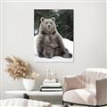 Picture of Snowy Bear _GroupedProduct_Rectangle_Portrait_Photography _GroupedProduct_Rectangle_Portrait_Canvas_