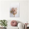 Picture of Soft Pink _GroupedProduct_Rectangle_Portrait_Photography _GroupedProduct_Rectangle_Portrait_Canvas_