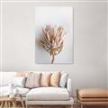Picture of Soft Pink _GroupedProduct_Rectangle_Portrait_Photography _GroupedProduct_Rectangle_Portrait_Canvas_