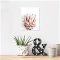 Picture of Soft Protea _GroupedProduct_Rectangle_Portrait_Photography _GroupedProduct_Rectangle_Portrait_Canvas_