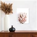 Picture of Soft Protea _GroupedProduct_Rectangle_Portrait_Photography _GroupedProduct_Rectangle_Portrait_Canvas_