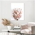 Picture of Soft Protea _GroupedProduct_Rectangle_Portrait_Photography _GroupedProduct_Rectangle_Portrait_Canvas_