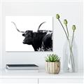 Picture of Spotted Bull  _GroupedProduct_Rectangle_Landscape_Photography _GroupedProduct_Rectangle_Landscape_Canvas_