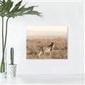 Picture of Spotted in the Savanna  _GroupedProduct_Rectangle_Landscape_Photography _GroupedProduct_Rectangle_Landscape_Canvas_