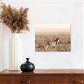 Picture of Spotted in the Savanna  _GroupedProduct_Rectangle_Landscape_Photography _GroupedProduct_Rectangle_Landscape_Canvas_