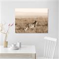 Picture of Spotted in the Savanna  _GroupedProduct_Rectangle_Landscape_Photography _GroupedProduct_Rectangle_Landscape_Canvas_