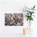 Picture of Stacked Logs _GroupedProduct_Rectangle_Landscape_Photography _GroupedProduct_Rectangle_Landscape_Canvas_