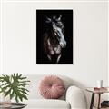 Picture of Stallion _GroupedProduct_Rectangle_Portrait_Photography _GroupedProduct_Rectangle_Portrait_Canvas_