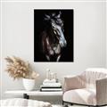 Picture of Stallion _GroupedProduct_Rectangle_Portrait_Photography _GroupedProduct_Rectangle_Portrait_Canvas_