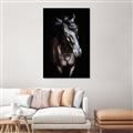 Picture of Stallion _GroupedProduct_Rectangle_Portrait_Photography _GroupedProduct_Rectangle_Portrait_Canvas_