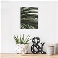 Picture of Sun & Palms  _GroupedProduct_Rectangle_Portrait_Photography _GroupedProduct_Rectangle_Portrait_Canvas_