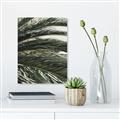 Picture of Sun & Palms  _GroupedProduct_Rectangle_Portrait_Photography _GroupedProduct_Rectangle_Portrait_Canvas_