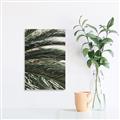 Picture of Sun & Palms  _GroupedProduct_Rectangle_Portrait_Photography _GroupedProduct_Rectangle_Portrait_Canvas_