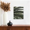Picture of Sun & Palms  _GroupedProduct_Rectangle_Portrait_Photography _GroupedProduct_Rectangle_Portrait_Canvas_