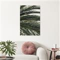 Picture of Sun & Palms  _GroupedProduct_Rectangle_Portrait_Photography _GroupedProduct_Rectangle_Portrait_Canvas_