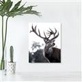 Picture of The Winter Deer _GroupedProduct_Rectangle_Portrait_Photography _GroupedProduct_Rectangle_Portrait_Canvas_
