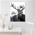 Picture of The Winter Deer _GroupedProduct_Rectangle_Portrait_Photography _GroupedProduct_Rectangle_Portrait_Canvas_