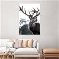 Picture of The Winter Deer _GroupedProduct_Rectangle_Portrait_Photography _GroupedProduct_Rectangle_Portrait_Canvas_