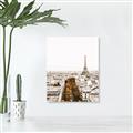 Picture of Touch of Mustard in Paris _GroupedProduct_Rectangle_Portrait_Photography _GroupedProduct_Rectangle_Portrait_Canvas_