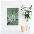 Picture of Up Close & Green _GroupedProduct_Rectangle_Portrait_Photography _GroupedProduct_Rectangle_Portrait_Canvas_
