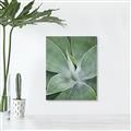 Picture of Up Close & Green _GroupedProduct_Rectangle_Portrait_Photography _GroupedProduct_Rectangle_Portrait_Canvas_