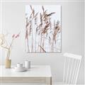 Picture of Wheat in the Wind  _GroupedProduct_Rectangle_Portrait_Photography _GroupedProduct_Rectangle_Portrait_Canvas_