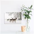 Picture of Winter Deers _GroupedProduct_Rectangle_Landscape_Photography _GroupedProduct_Rectangle_Landscape_Canvas_