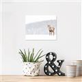 Picture of Winter Stag _GroupedProduct_Rectangle_Landscape_Canvas_