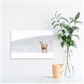 Picture of Winter Stag _GroupedProduct_Rectangle_Landscape_Canvas_