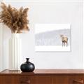 Picture of Winter Stag _GroupedProduct_Rectangle_Landscape_Canvas_