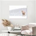Picture of Winter Stag _GroupedProduct_Rectangle_Landscape_Canvas_