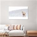 Picture of Winter Stag _GroupedProduct_Rectangle_Landscape_Canvas_