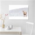 Picture of Winter Stag _GroupedProduct_Rectangle_Landscape_Canvas_