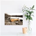 Picture of Yellow Canoe  _GroupedProduct_Rectangle_Landscape_Photography _GroupedProduct_Rectangle_Landscape_Canvas_