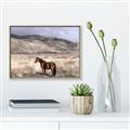 Picture of Lone Horse  _GroupedProduct_Rectangle_Landscape_Photography _GroupedProduct_Rectangle_Landscape_Canvas_Framed_