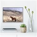 Picture of Lone Horse  _GroupedProduct_Rectangle_Landscape_Photography _GroupedProduct_Rectangle_Landscape_Canvas_Framed_
