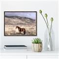 Picture of Lone Horse  _GroupedProduct_Rectangle_Landscape_Photography _GroupedProduct_Rectangle_Landscape_Canvas_Framed_