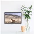 Picture of Lone Horse  _GroupedProduct_Rectangle_Landscape_Photography _GroupedProduct_Rectangle_Landscape_Canvas_Framed_