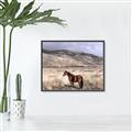 Picture of Lone Horse  _GroupedProduct_Rectangle_Landscape_Photography _GroupedProduct_Rectangle_Landscape_Canvas_Framed_