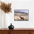 Picture of Lone Horse  _GroupedProduct_Rectangle_Landscape_Photography _GroupedProduct_Rectangle_Landscape_Canvas_Framed_