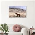 Picture of Lone Horse  _GroupedProduct_Rectangle_Landscape_Photography _GroupedProduct_Rectangle_Landscape_Canvas_Framed_