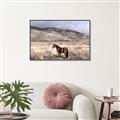 Picture of Lone Horse  _GroupedProduct_Rectangle_Landscape_Photography _GroupedProduct_Rectangle_Landscape_Canvas_Framed_