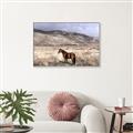 Picture of Lone Horse  _GroupedProduct_Rectangle_Landscape_Photography _GroupedProduct_Rectangle_Landscape_Canvas_Framed_