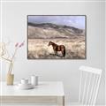 Picture of Lone Horse  _GroupedProduct_Rectangle_Landscape_Photography _GroupedProduct_Rectangle_Landscape_Canvas_Framed_