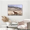 Picture of Lone Horse  _GroupedProduct_Rectangle_Landscape_Photography _GroupedProduct_Rectangle_Landscape_Canvas_Framed_