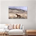 Picture of Lone Horse  _GroupedProduct_Rectangle_Landscape_Photography _GroupedProduct_Rectangle_Landscape_Canvas_Framed_