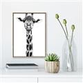 Picture of Long Neck II _GroupedProduct_Rectangle_Portrait_Photography _GroupedProduct_Rectangle_Portrait_Canvas_Framed_