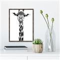 Picture of Long Neck II _GroupedProduct_Rectangle_Portrait_Photography _GroupedProduct_Rectangle_Portrait_Canvas_Framed_