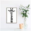 Picture of Long Neck II _GroupedProduct_Rectangle_Portrait_Photography _GroupedProduct_Rectangle_Portrait_Canvas_Framed_